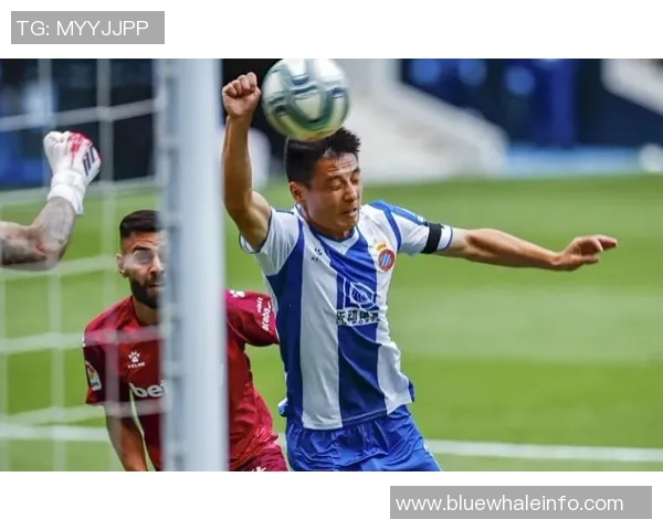 哈兰德今日状态爆棚,全场最佳当之无愧!