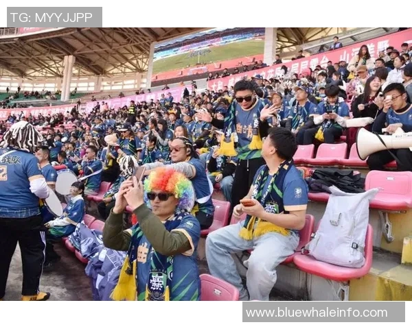 球迷在看台上表白成功,现场掌声雷动