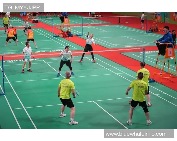 羽毛球比赛场地条件对运动员竞技水平和比赛表现发挥的综合性影响研究